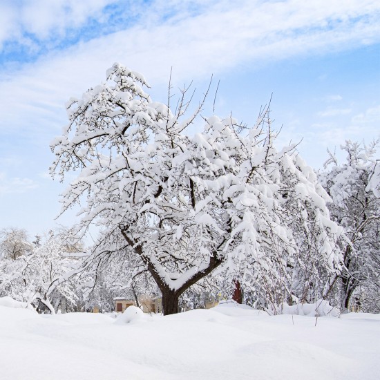 Winter in Berchtesgaden