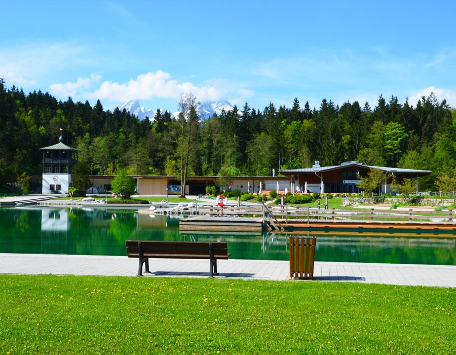 Natur pr im Aschauerweiher