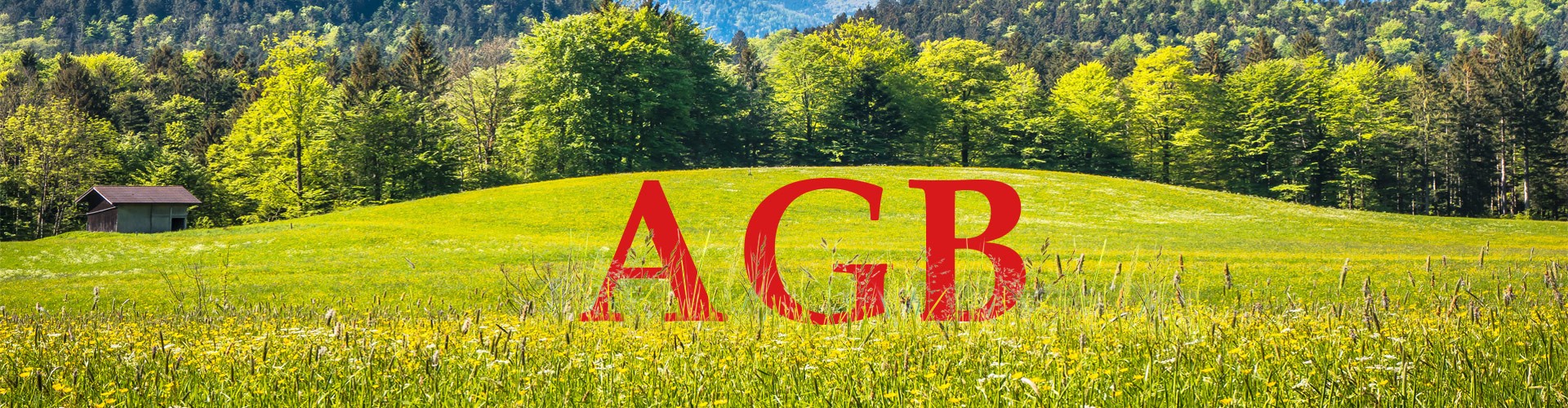 AGB berchtesgaden-online
