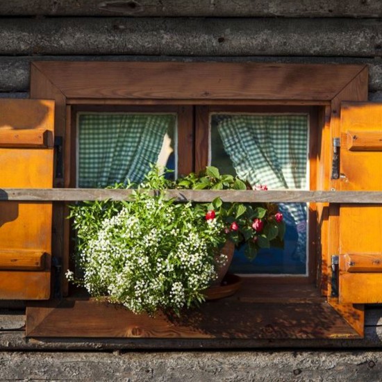 Gstehaus Egglerlehen Schnau - Sommerblumen