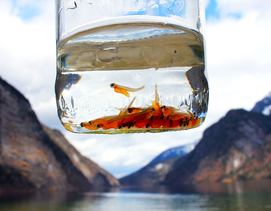 Exkursion vom Haus der Berge