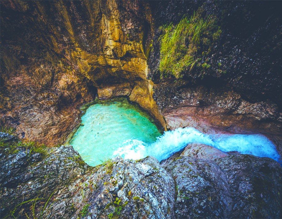 Gumpe in der Almbachklamm