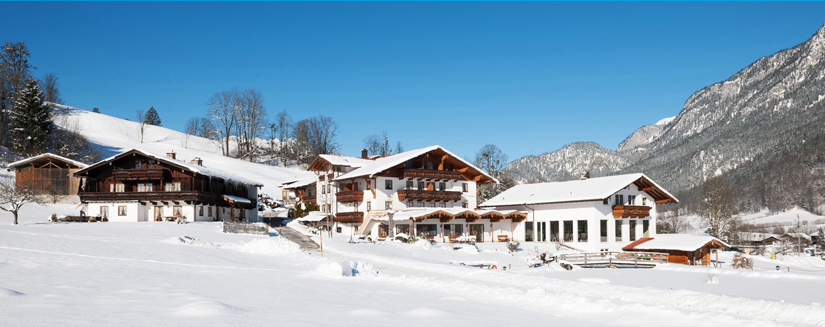 Naturhotel Reissenlehen im Winter