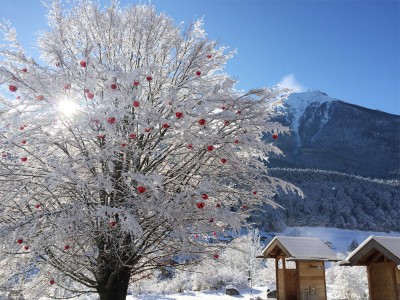 Hotel Rehlegg im Winter
