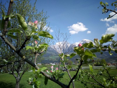 Ausblick Gstehaus Rennerlehen Schnau am Knigssee