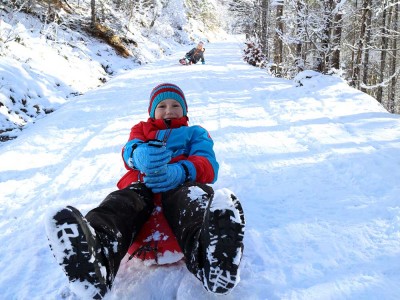 Schlittenfahren - Familienurlaub am Wrndlhof - Hintersee