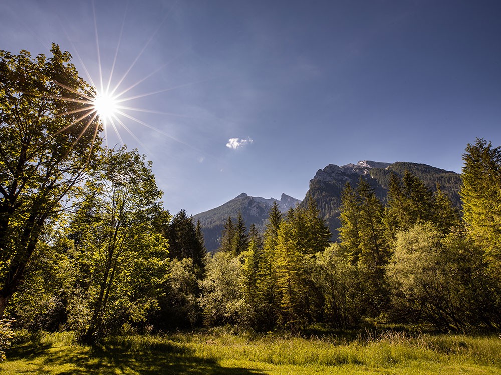 Hotel-Gasthof Wrndlhof - Sommerurlaub in der Natur