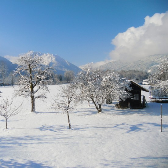 Gstehaus Rennerlehen Aussicht im Winter