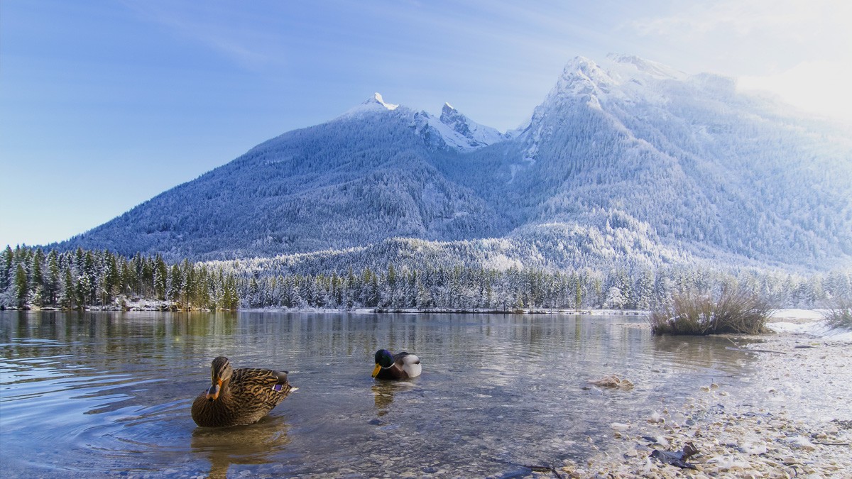 Der zauberhafte Hintersee im Winter